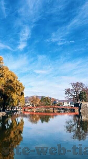国色天香中文字幕手机在线视频-国色天香，文化瑰宝的移动视界