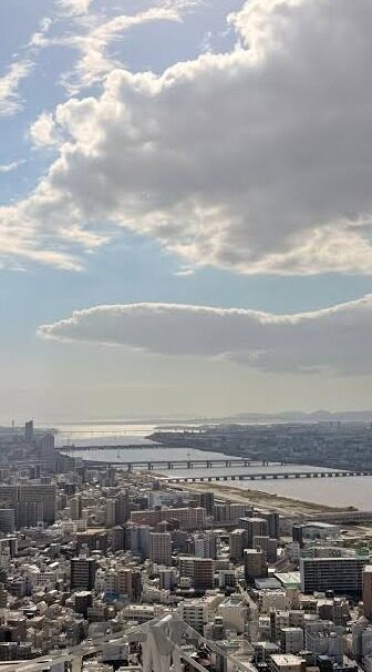 伦理片在线播放w-伦理片，在线观看的道德边界与文化价值