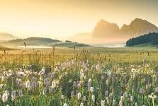 麻豆av一区二区天堂-探索网上内容的边界与文化价值的平衡