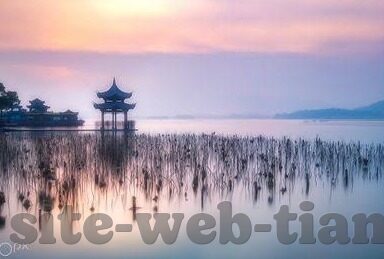 麻豆经济app能约吗-麻豆经济app，邂逅自由与真实的线上经济新生态