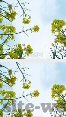 麻豆亚州无矿码专区视频-麻豆亚州视频艺术，少一分陈规，多一份创新的视觉盛宴