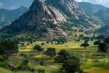 糖心app苹果免费下载-魅力无边的苹果体验，免费畅享糖心应用