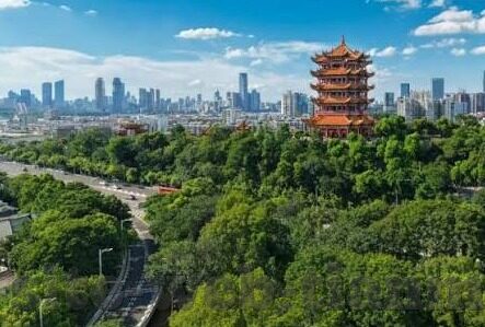 糖心苹果版app下载-探索糖心苹果版APP，解读其独特魅力和下载体验